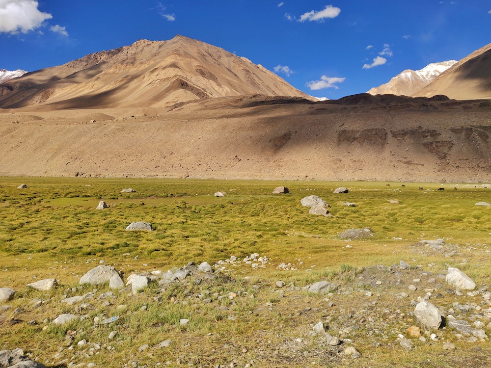 Mountain Ladakh Pangong